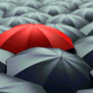 Meet your Posher, Hayley